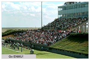 Go ENMU