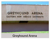 Greyhound Arena