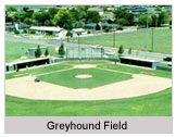 Greyhound Field